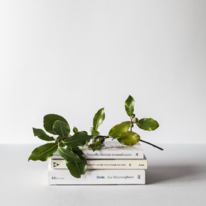 Must read minimalist books featured image