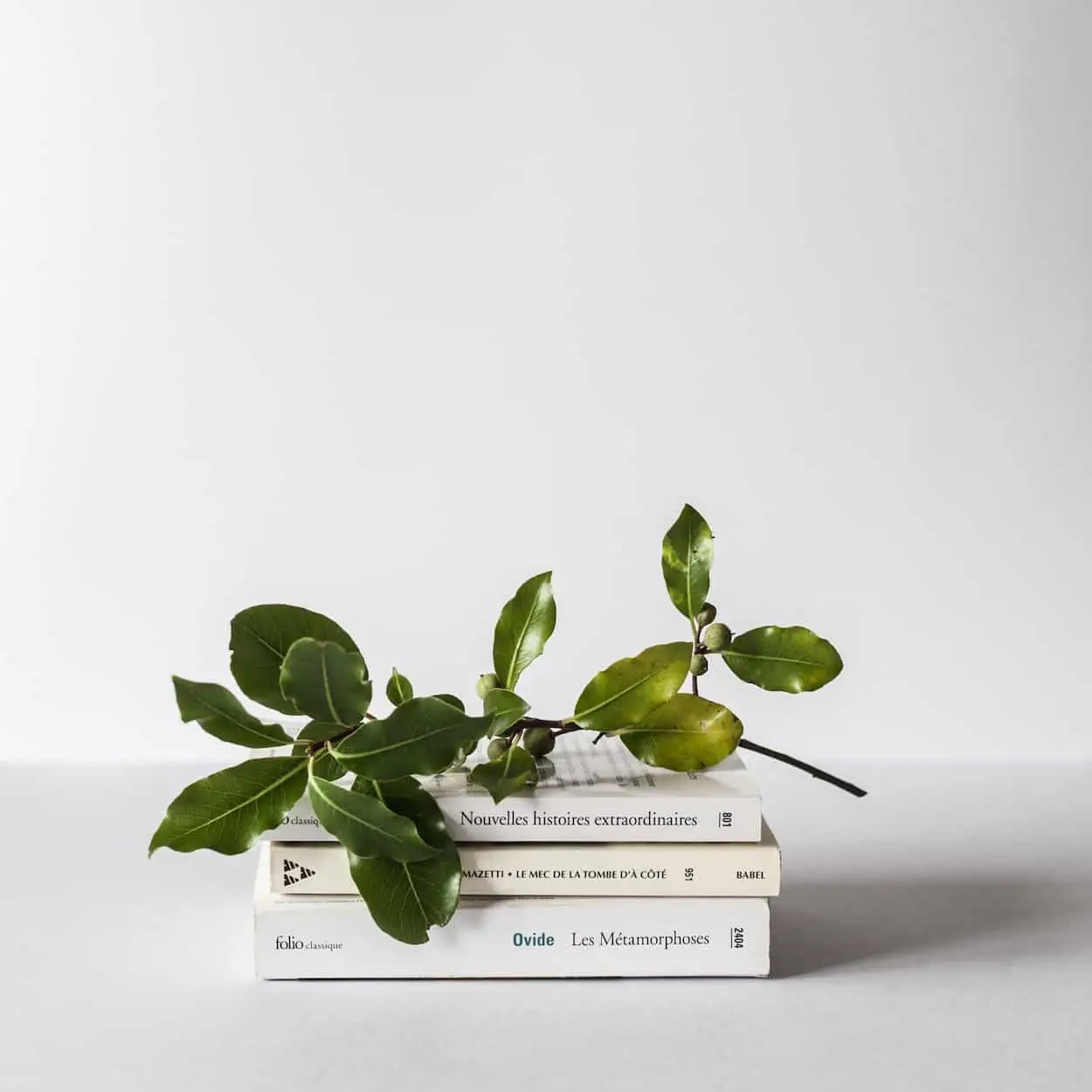 good books for becoming a minimalist