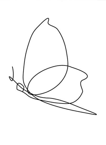 butterfly line art