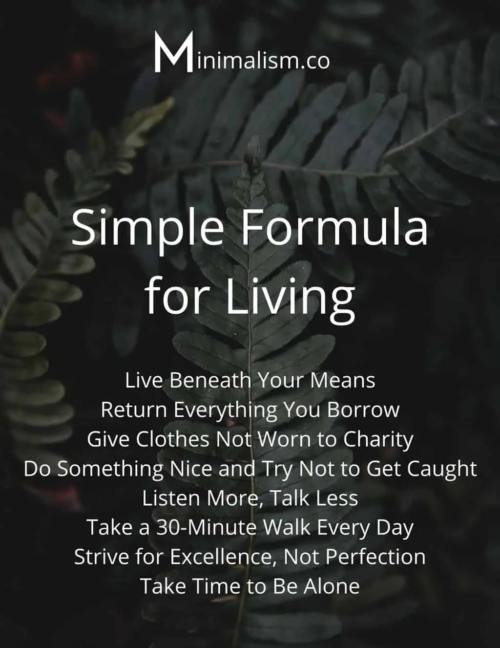Simple Formula for Living Poster Plant