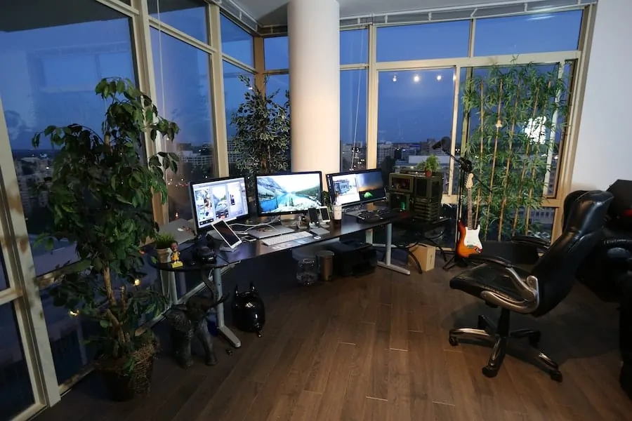 Home office with houseplants