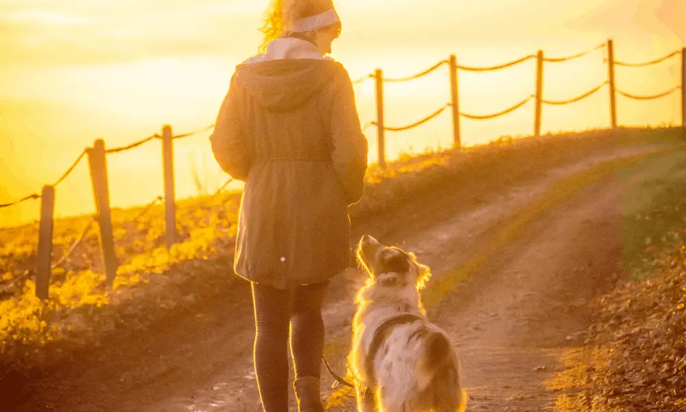 Woman walking her dog on a path at sunrise. 