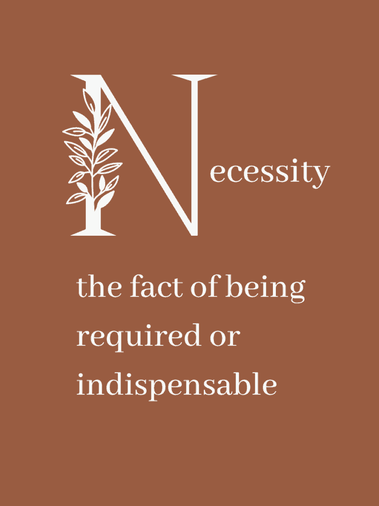 Graphic reading "Necessity: the fact of being required or indispensable"