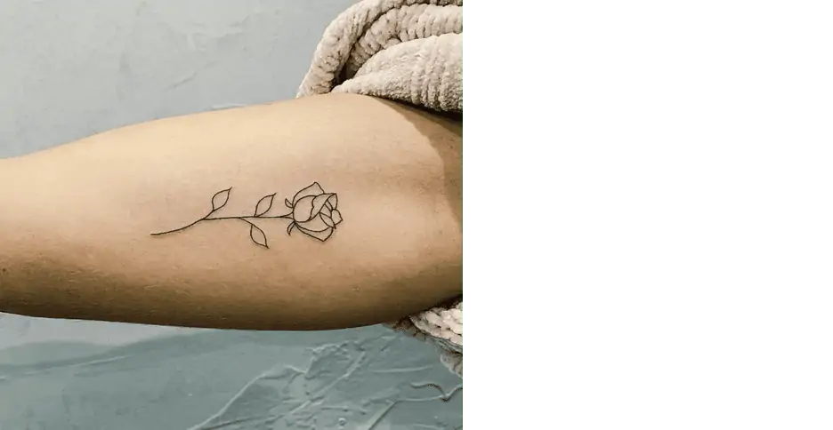 Awesome minimalist tattoo done by a girl in my city. : r/minimalism