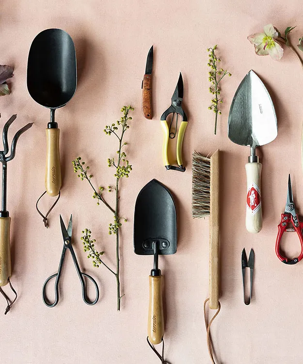gardening tools laying out with a pink background